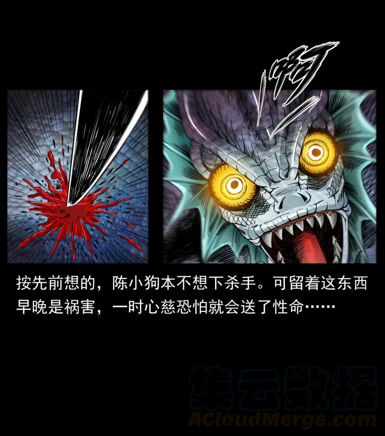 幽冥诡匠 398 尸仙 第34页