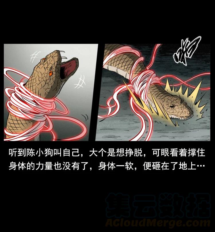 幽冥诡匠 398 尸仙 第82页