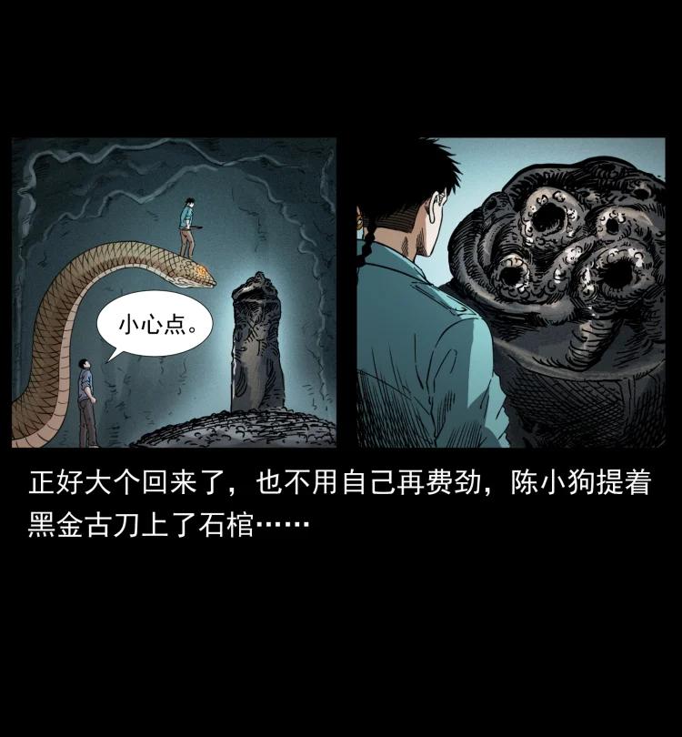 幽冥诡匠 398 尸仙 第38页