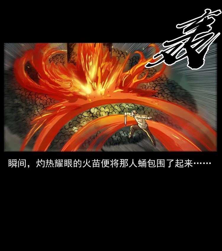 幽冥诡匠 399 人之蛹 第74页
