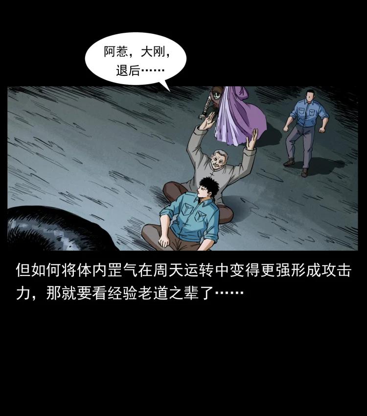 幽冥诡匠 399 人之蛹 第47页