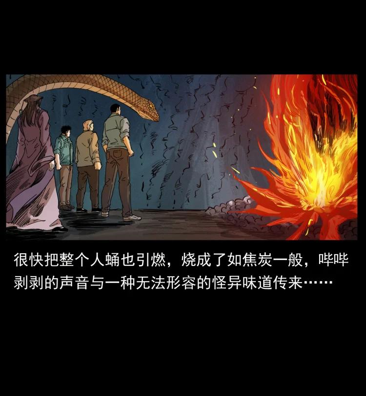 幽冥诡匠 399 人之蛹 第77页