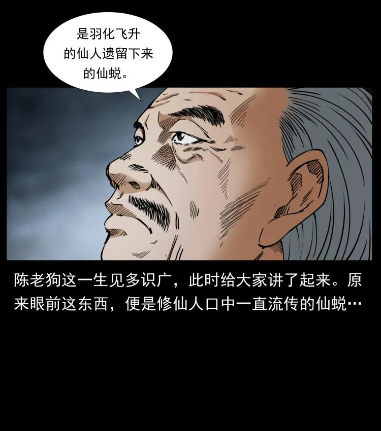 幽冥诡匠 399 人之蛹 第36页