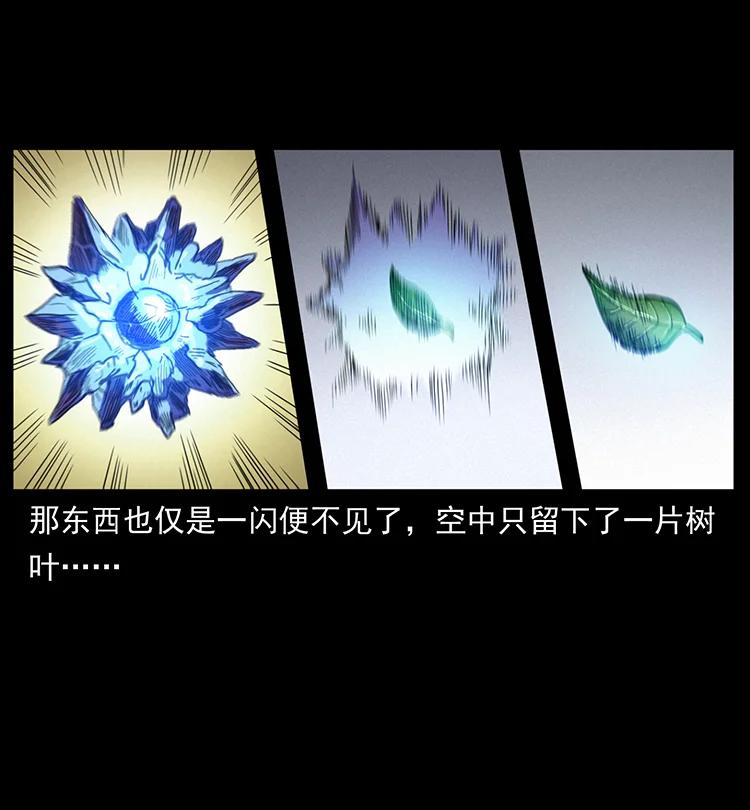 幽冥诡匠 400 一花一世界，一叶一菩提 第76页