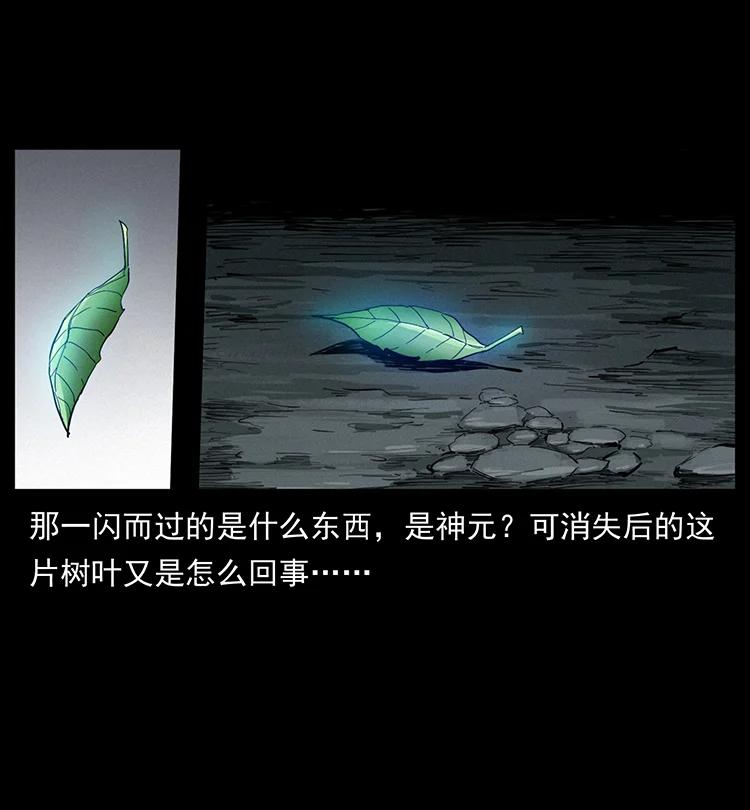 幽冥诡匠 400 一花一世界，一叶一菩提 第78页