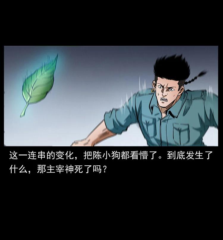 幽冥诡匠 400 一花一世界，一叶一菩提 第77页