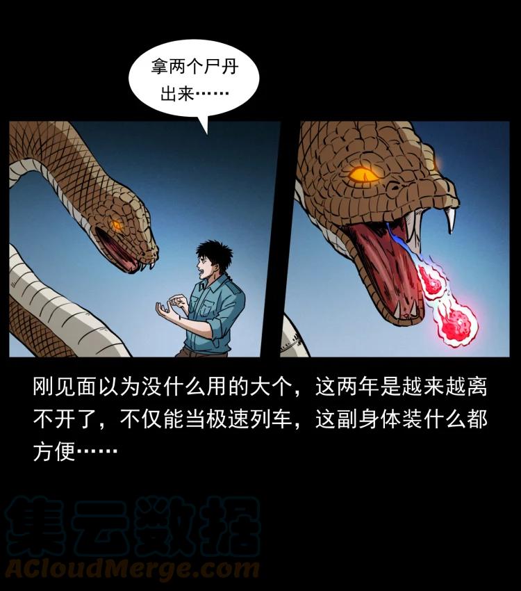幽冥诡匠 405 离世 第13页
