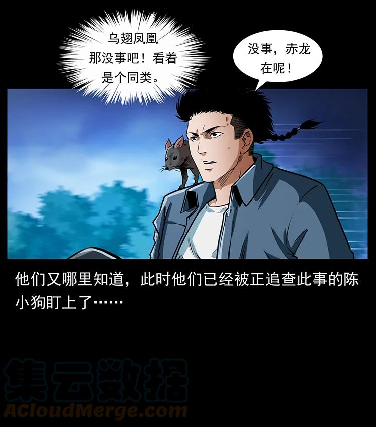 幽冥诡匠 408 狙击佟安娜！ 第10页