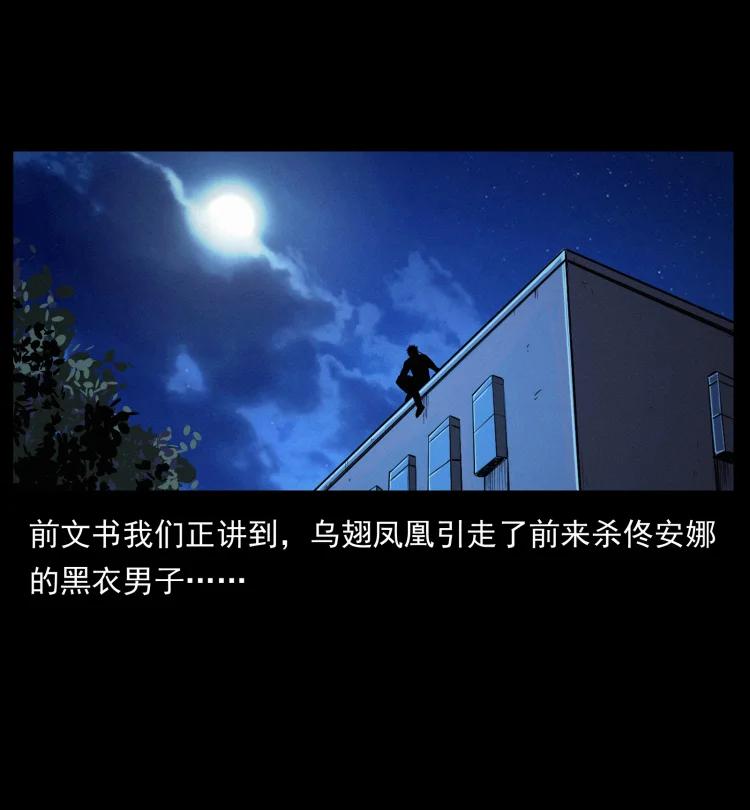 幽冥诡匠 408 狙击佟安娜！ 第2页