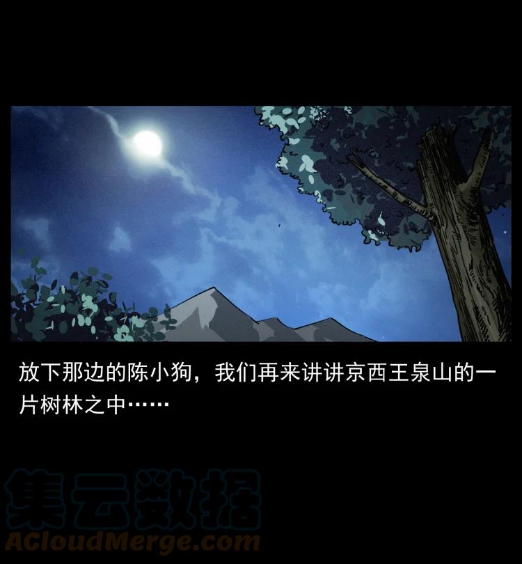 幽冥诡匠 408 狙击佟安娜！ 第13页