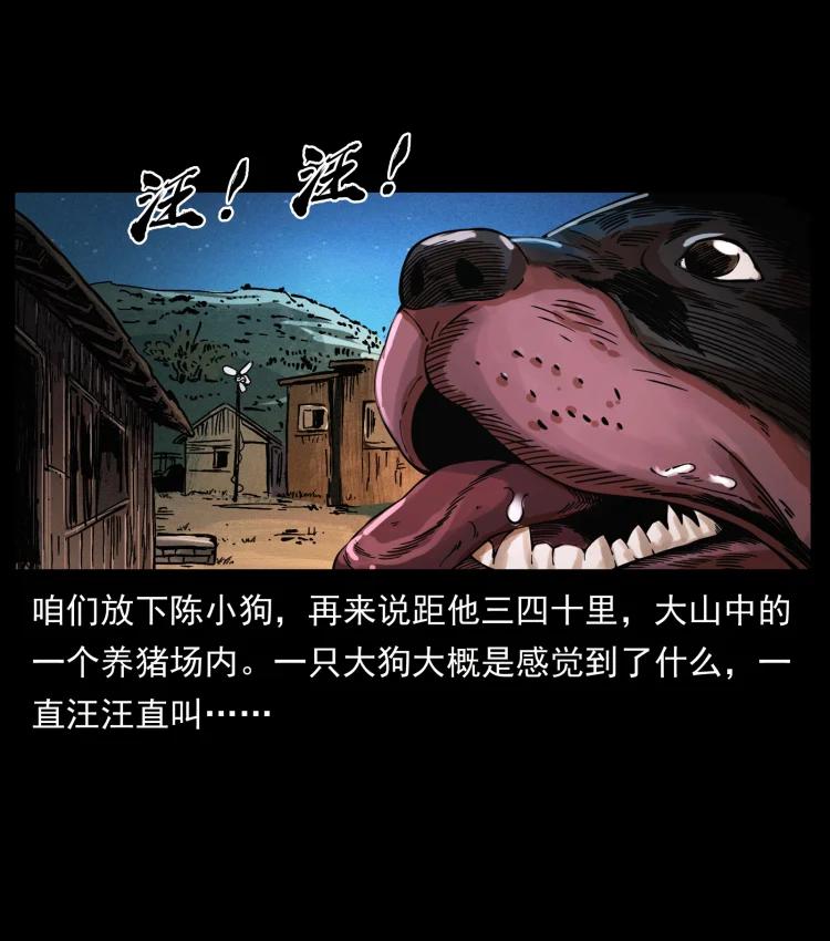 幽冥诡匠 410 猎杀阴差 第36页