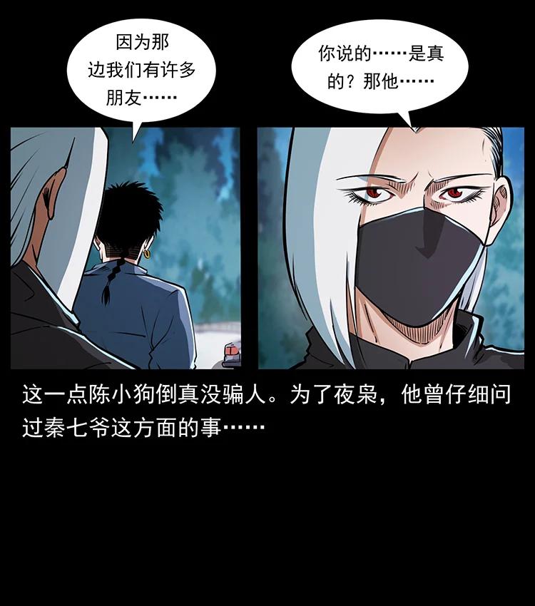 幽冥诡匠 410 猎杀阴差 第29页