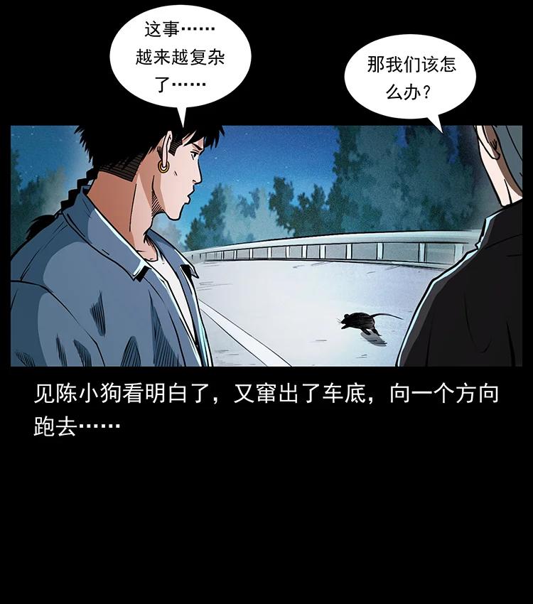 幽冥诡匠 410 猎杀阴差 第33页