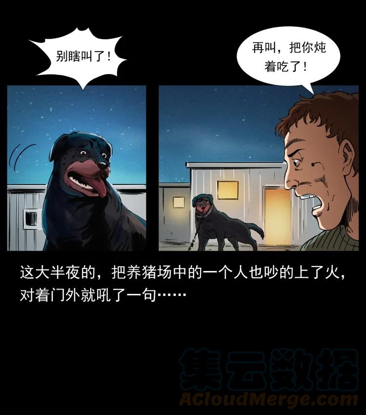 幽冥诡匠 410 猎杀阴差 第37页