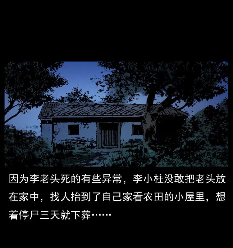 幽冥诡匠 041 雷击尸2 第37页