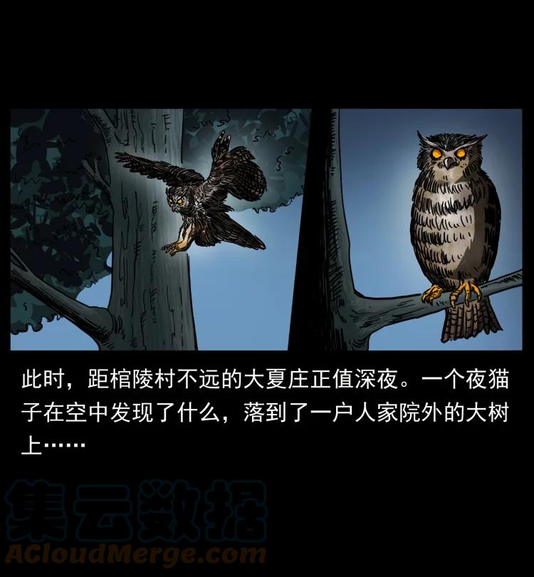 幽冥诡匠 412 迷雾渐开 第49页