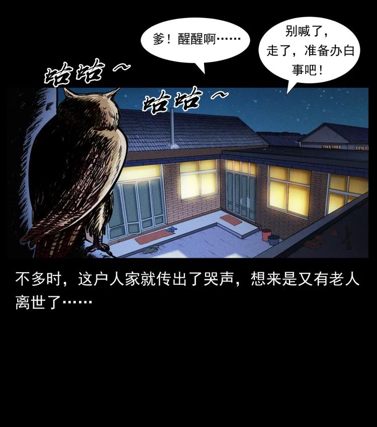 幽冥诡匠 412 迷雾渐开 第50页