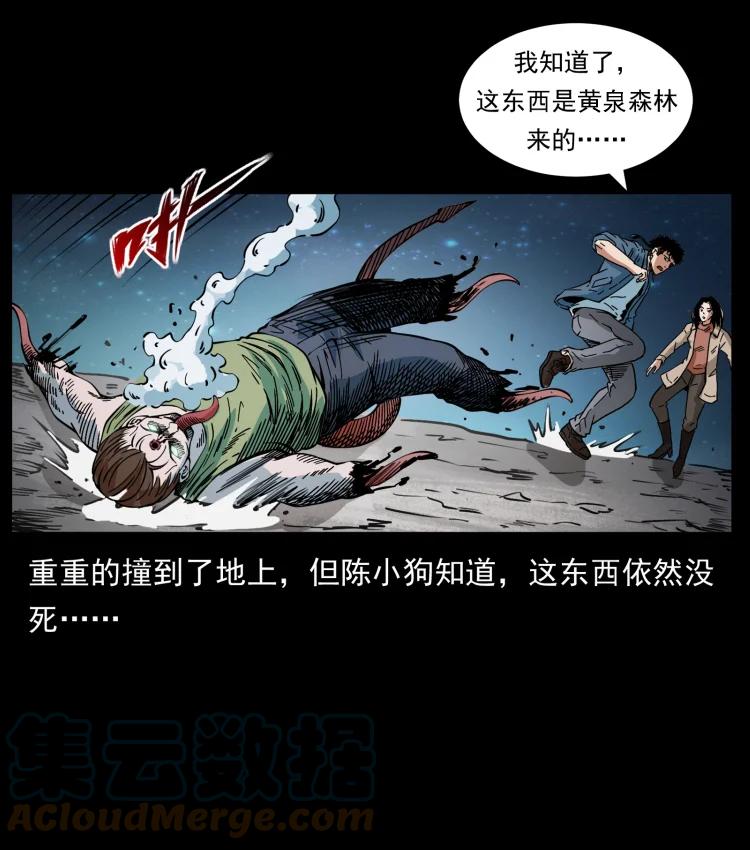 幽冥诡匠 415 一起去抓鬼 第79页