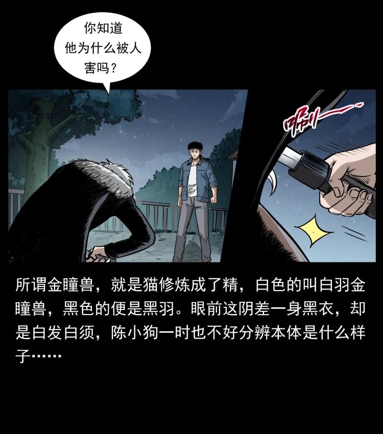 幽冥诡匠 416 七爷的信徒 第44页