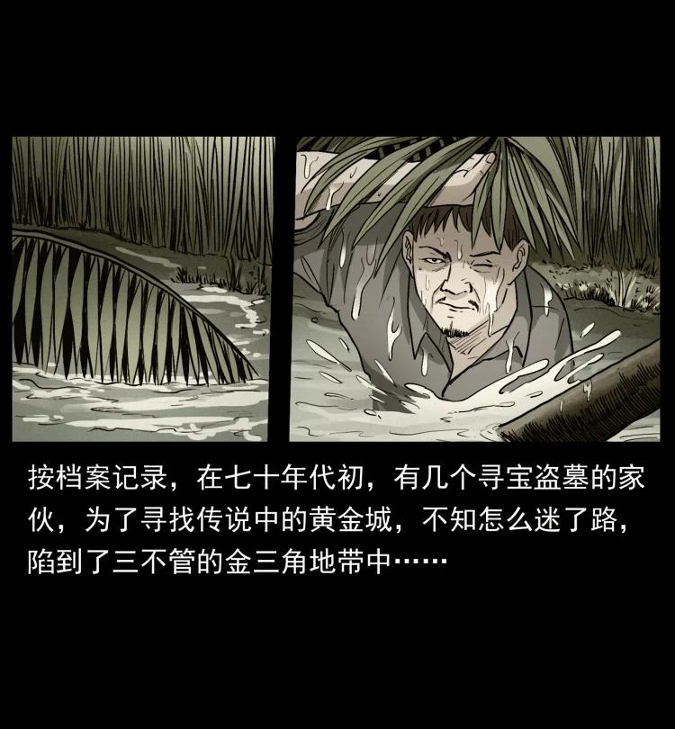 幽冥诡匠 419 马先生的博物馆 第71页
