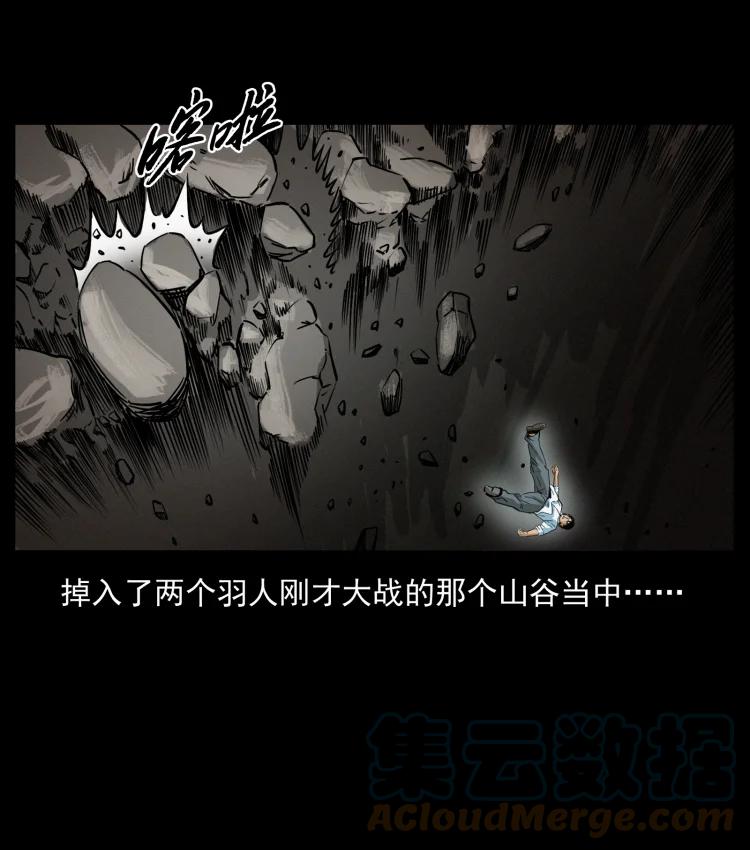 幽冥诡匠 422 不死羽人 第46页