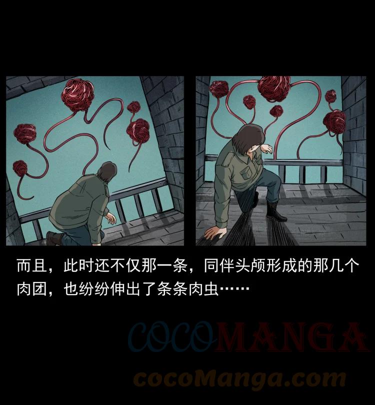 幽冥诡匠 436 夜郎古城 第13页