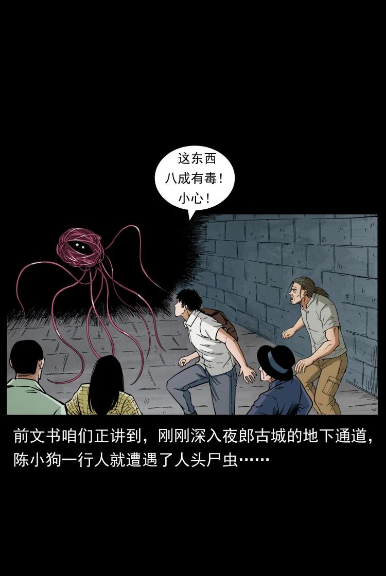 幽冥诡匠 437 墓道凶灵 第2页