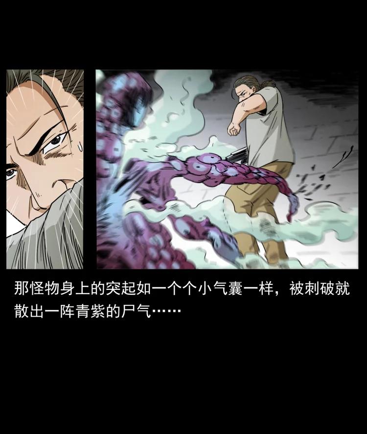 幽冥诡匠 438 变异尸毒 第63页