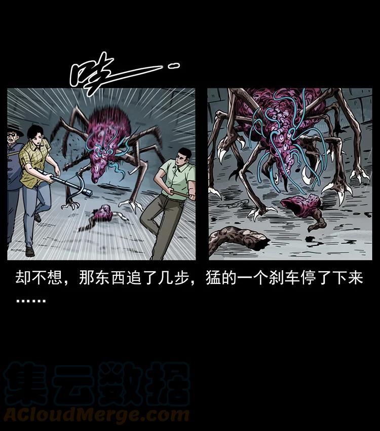 幽冥诡匠 439 羽人通道 第13页