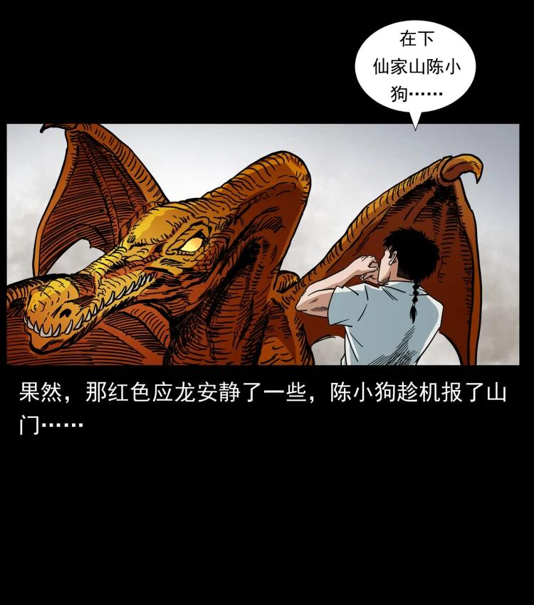 幽冥诡匠 440 应天龙 第47页