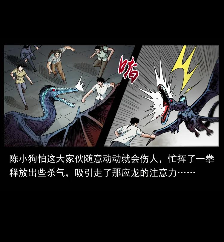 幽冥诡匠 440 应天龙 第29页