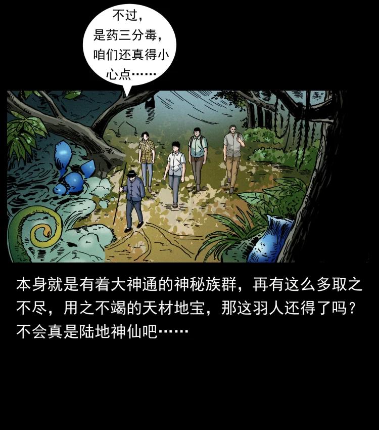 幽冥诡匠 441 羽人之境 第14页
