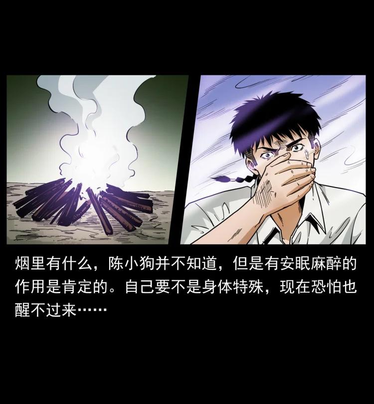 幽冥诡匠 441 羽人之境 第44页