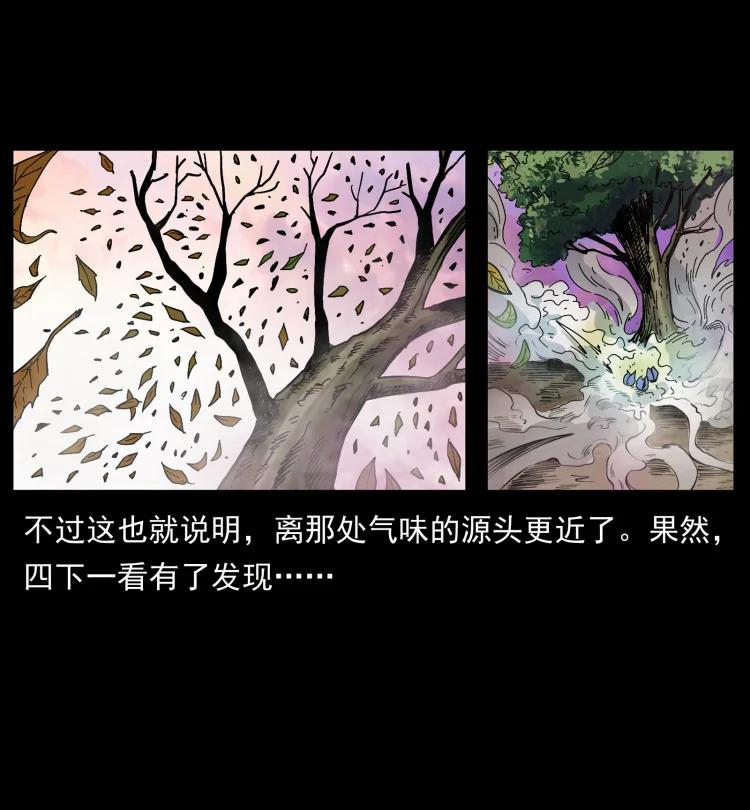 幽冥诡匠 441 羽人之境 第60页
