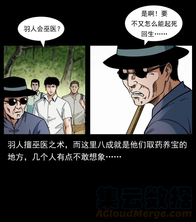 幽冥诡匠 441 羽人之境 第13页