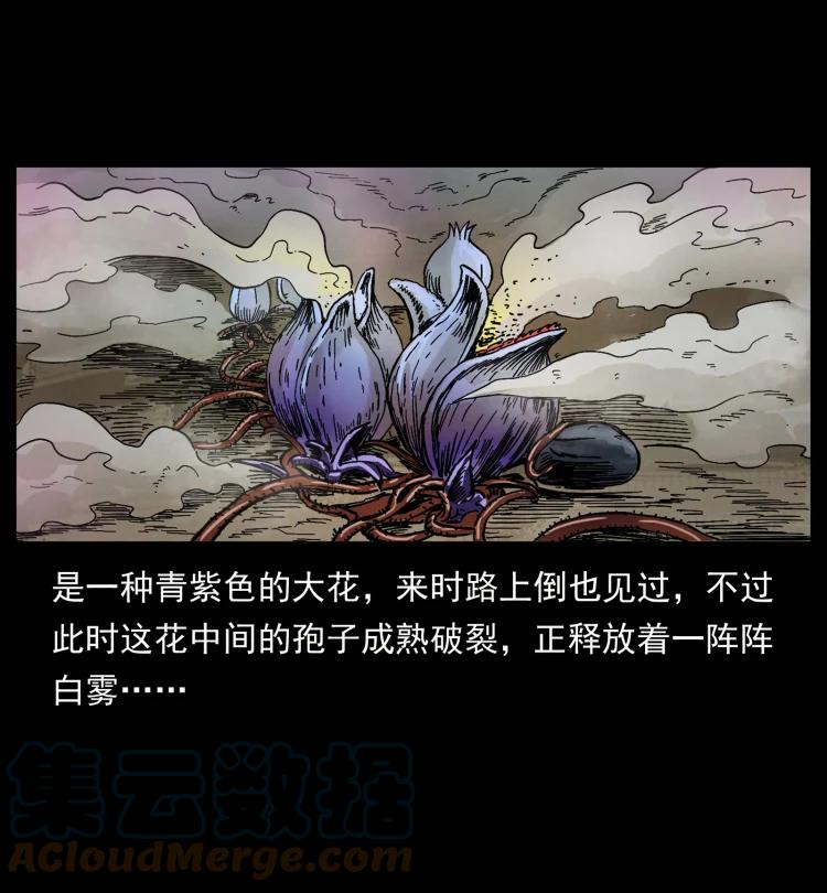 幽冥诡匠 441 羽人之境 第61页