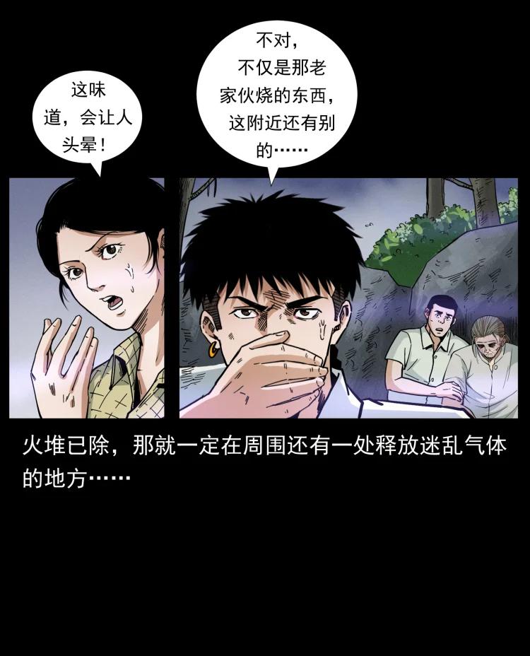 幽冥诡匠 441 羽人之境 第56页