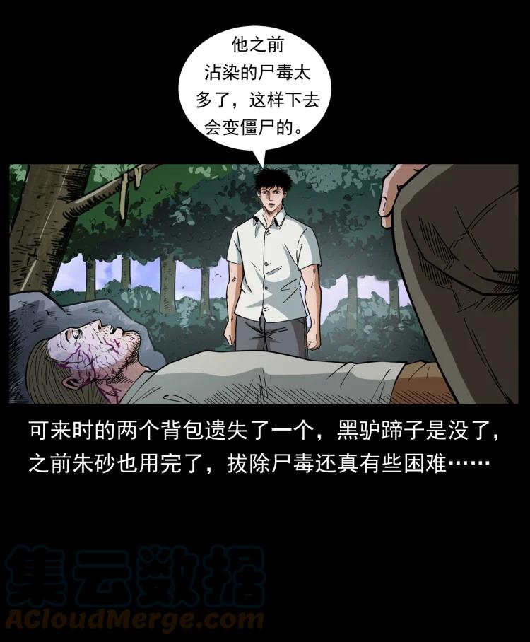 幽冥诡匠 441 羽人之境 第67页