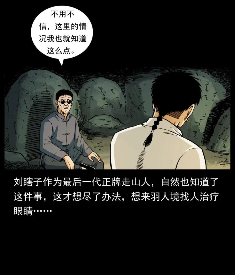 幽冥诡匠 441 羽人之境 第29页