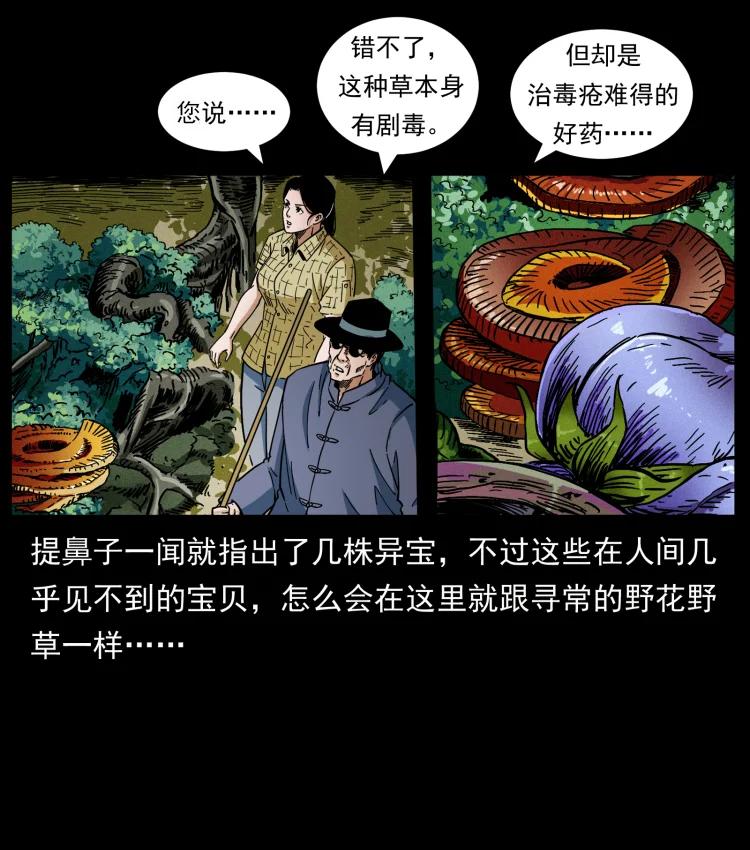幽冥诡匠 441 羽人之境 第11页