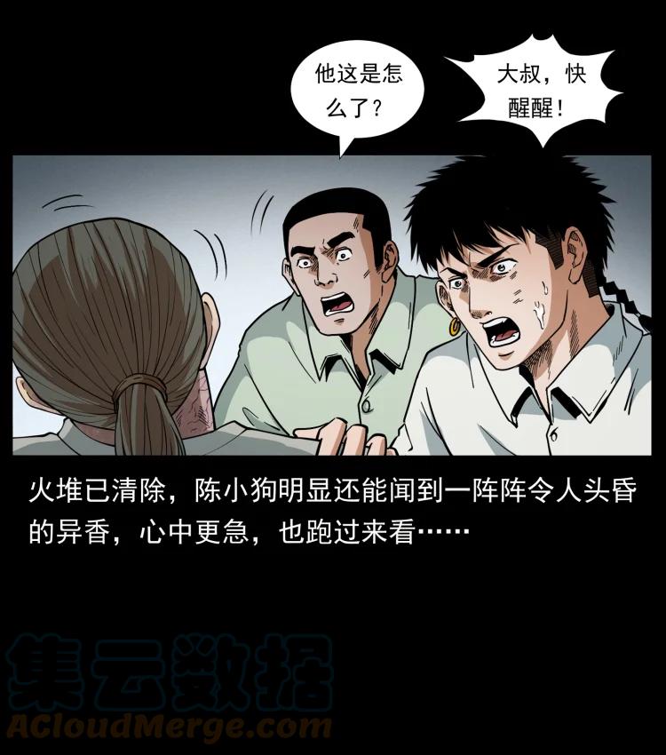 幽冥诡匠 441 羽人之境 第52页