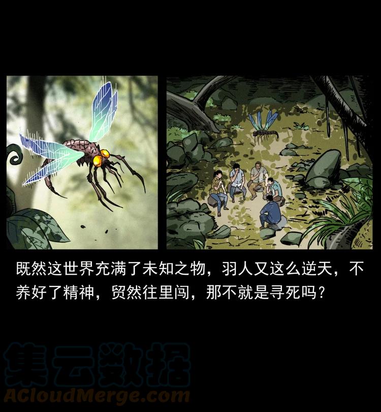 幽冥诡匠 441 羽人之境 第16页
