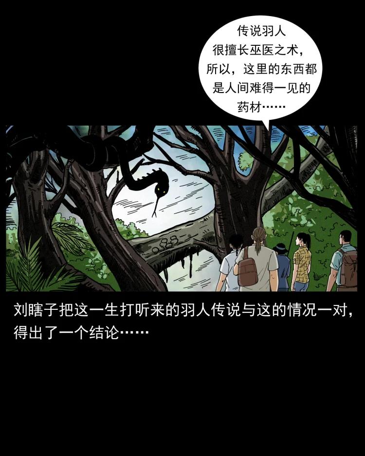幽冥诡匠 441 羽人之境 第12页
