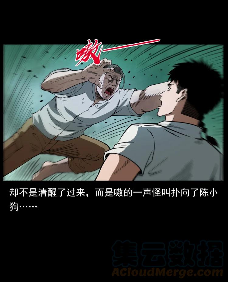 幽冥诡匠 441 羽人之境 第79页