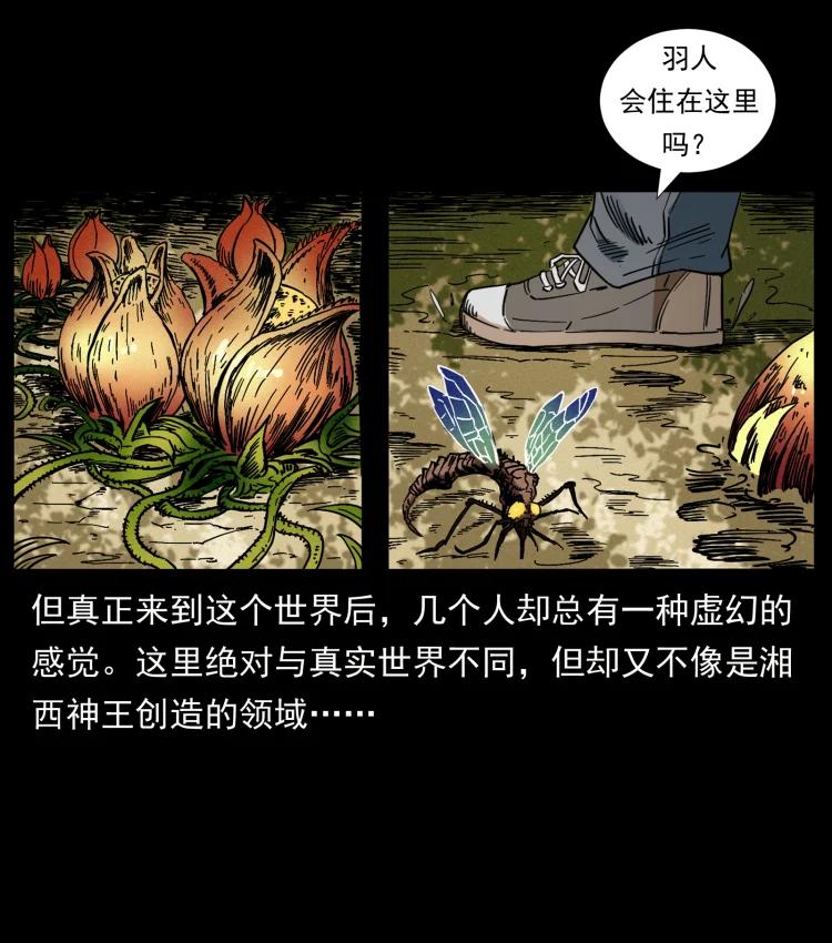 幽冥诡匠 441 羽人之境 第3页