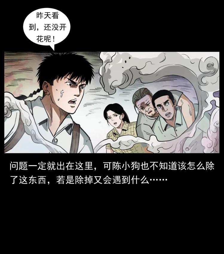 幽冥诡匠 441 羽人之境 第62页