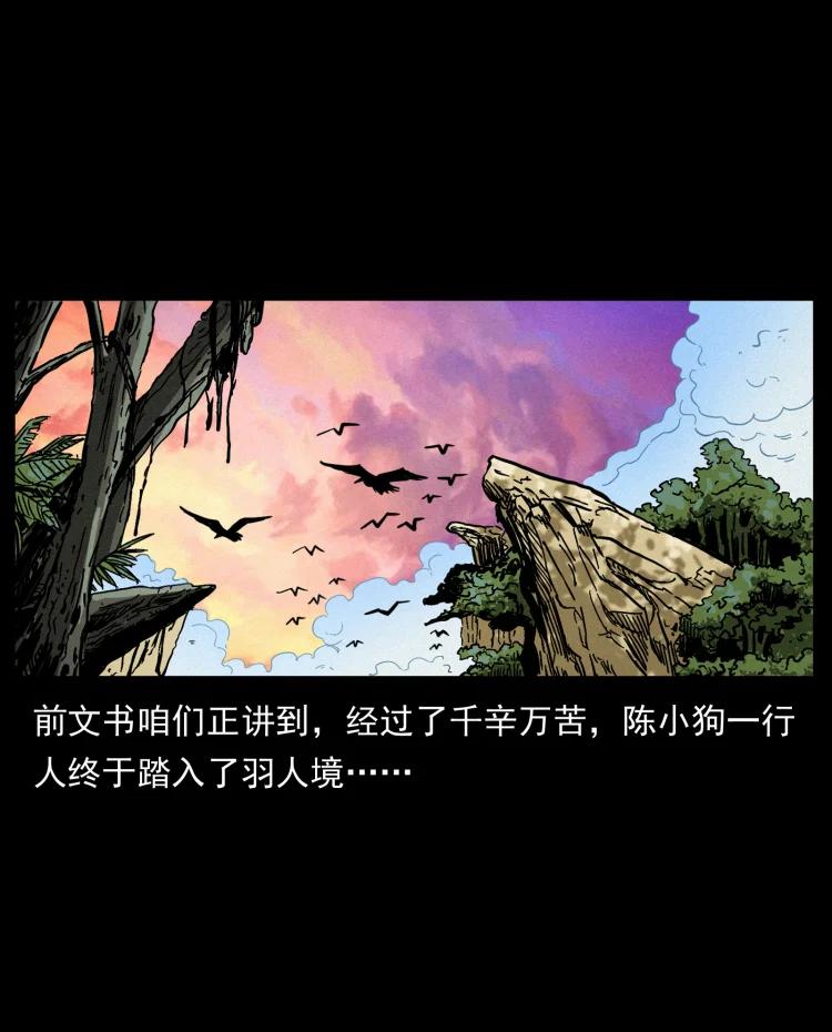 幽冥诡匠 441 羽人之境 第2页