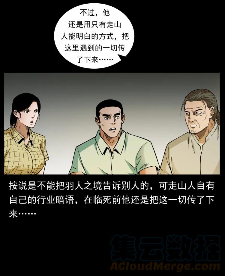 幽冥诡匠 441 羽人之境 第28页