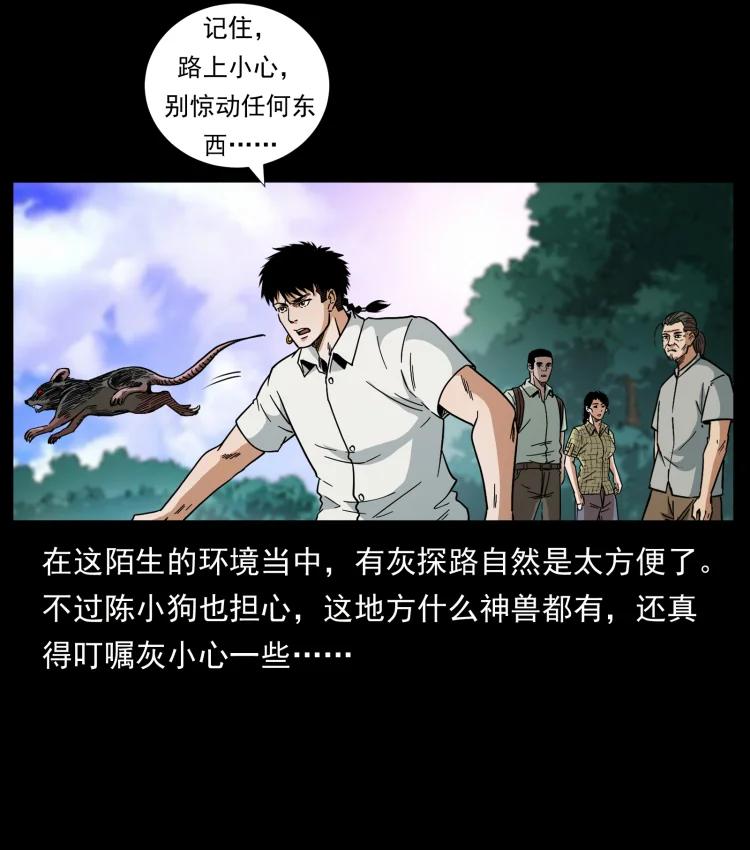 幽冥诡匠 442 羽人现身 第18页