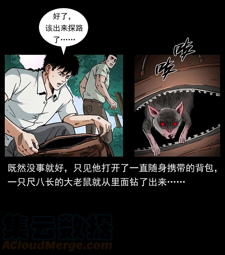 幽冥诡匠 442 羽人现身 第16页